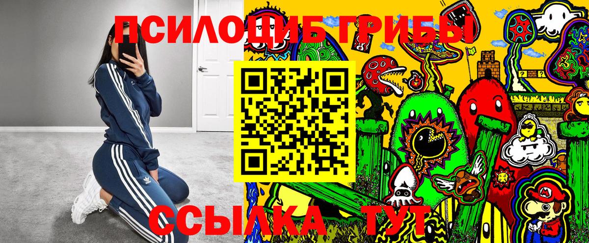 Псилоцибиновые грибы мухоморы  Псилоцибиновые грибы ЛСД  Лесозаводск  Вход с VPN 
